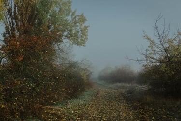 Painting of a misty country landscape with a path running through the middle.